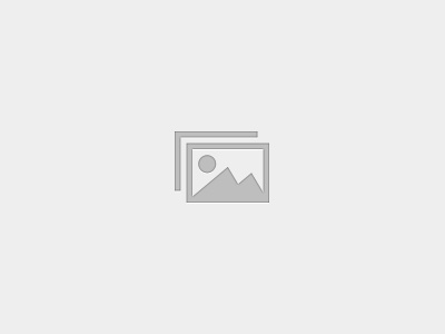 Maîtriser les Filings SEC